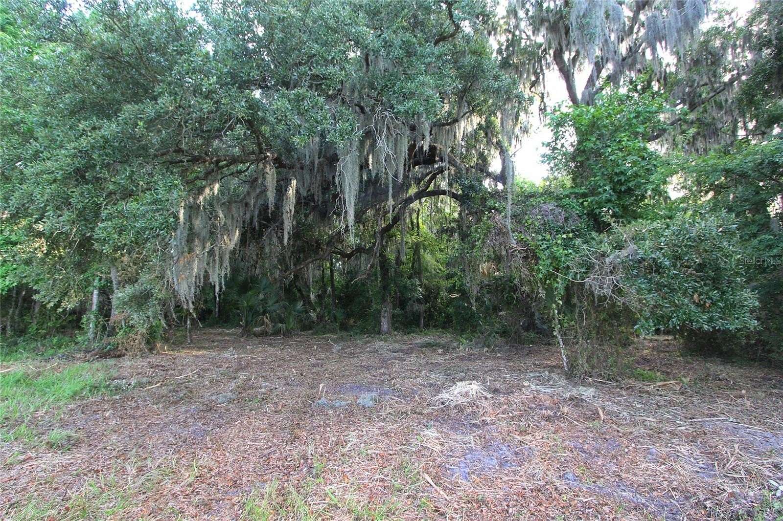 5 Acres of Land for Sale in Sumterville, Florida