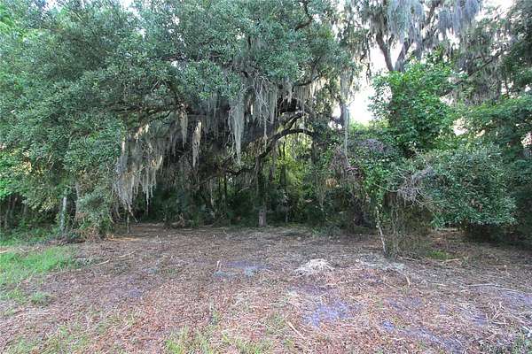5 Acres of Land for Sale in Sumterville, Florida