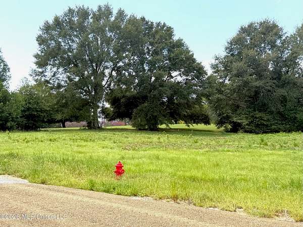 2 Acres of Residential Land for Sale in McComb, Mississippi