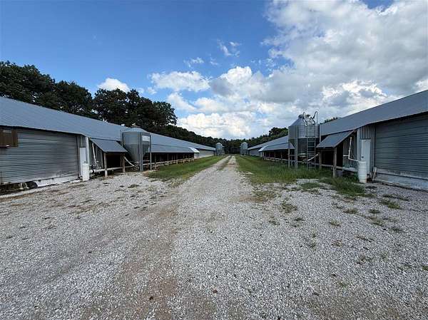 35.6 Acres of Land for Sale in Oakland, Kentucky