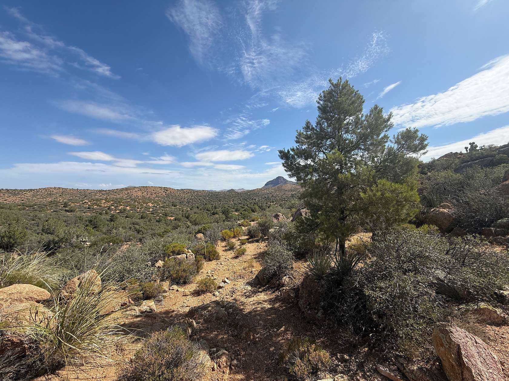 40 Acres of Land for Sale in Kingman, Arizona