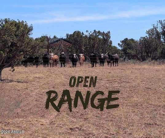 40 Acres of Recreational Land for Sale in Show Low, Arizona