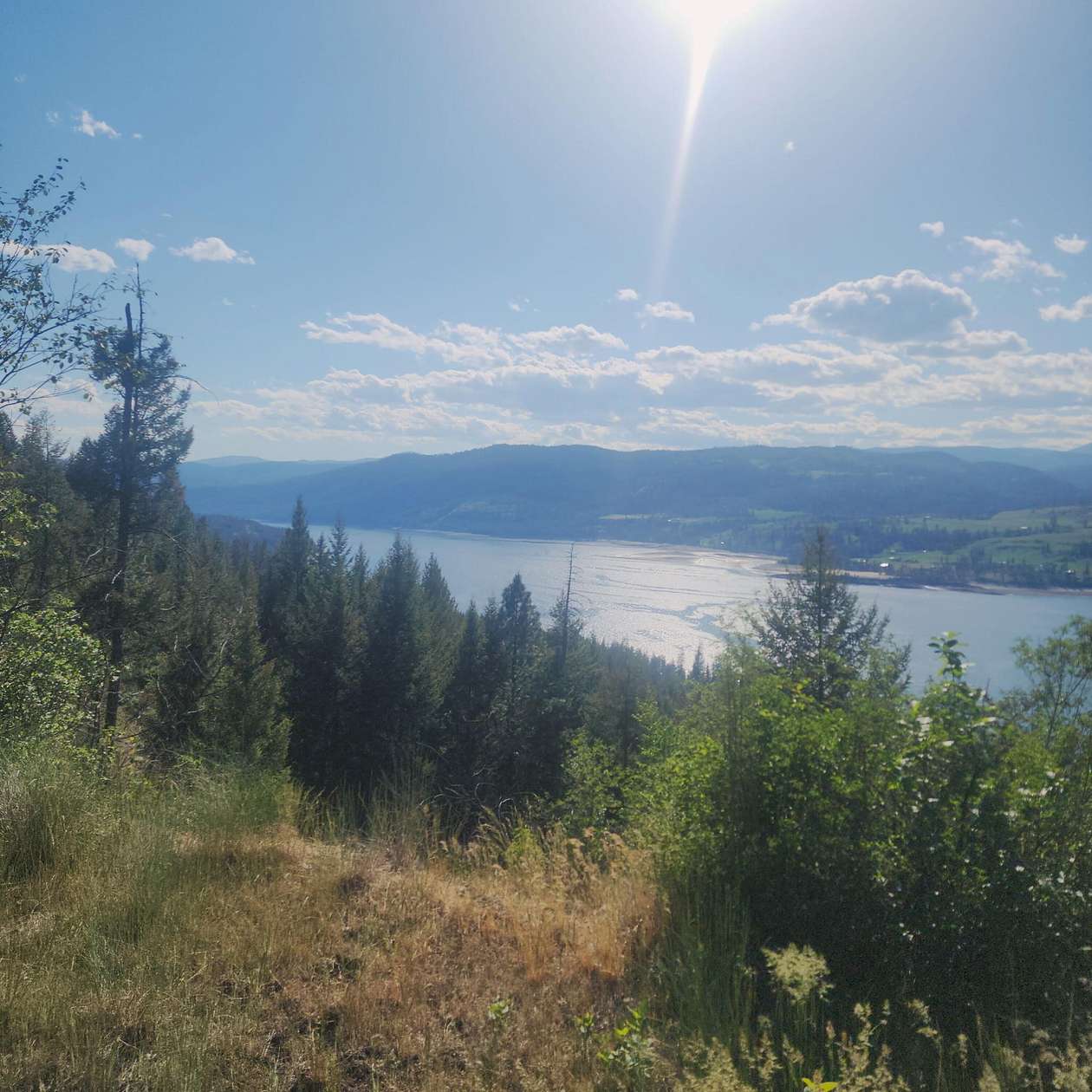 32 Acres of Recreational & Residential Land for Sale in Kettle Falls, Washington