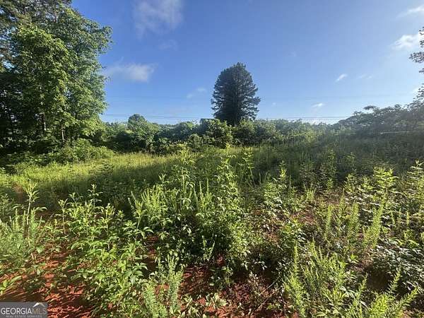 1.63 Acres of Residential Land for Sale in Eastanollee, Georgia