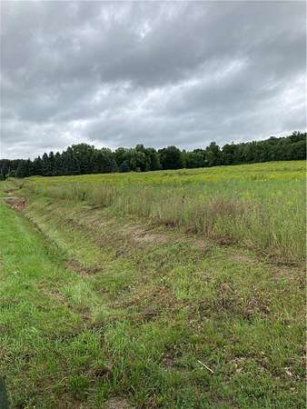 9.37 Acres of Residential Land for Sale in Dansville, New York