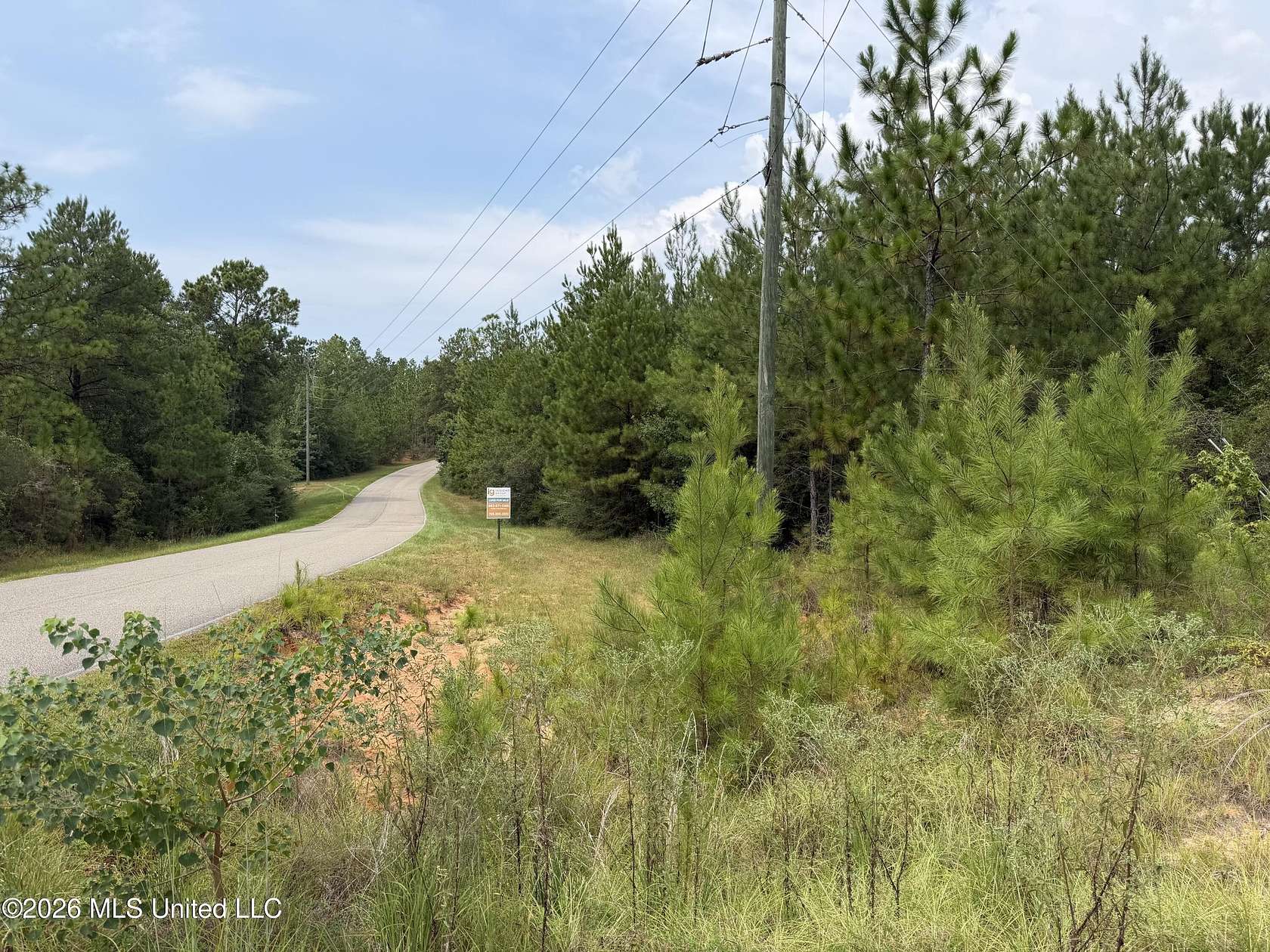 393 Acres of Land for Sale in Wiggins, Mississippi