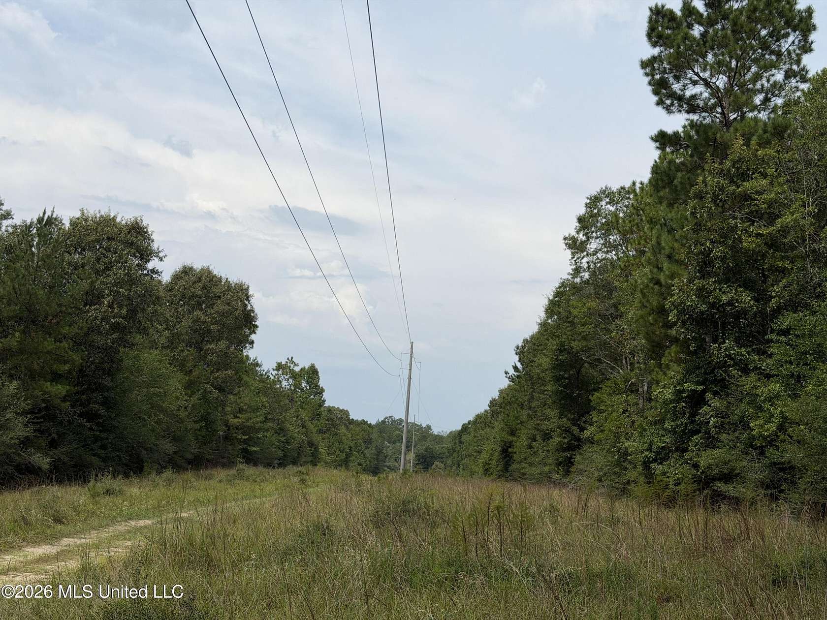 393 Acres of Land for Sale in Wiggins, Mississippi