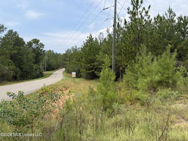 393 Acres of Land for Sale in Wiggins, Mississippi