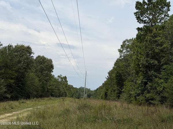 393 Acres of Land for Sale in Wiggins, Mississippi