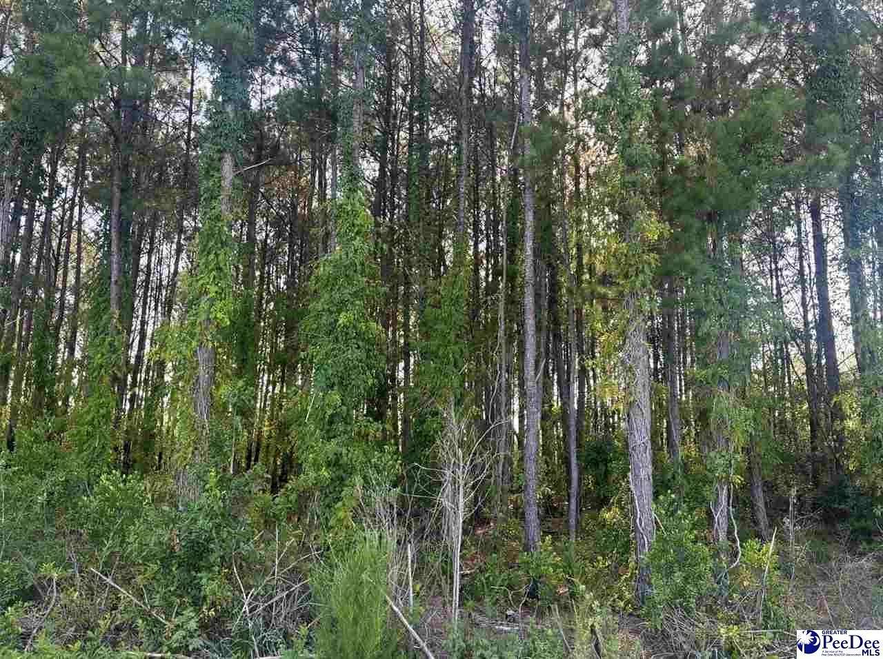 1.5 Acres of Residential Land for Sale in Hartsville, South Carolina