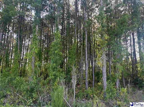1.5 Acres of Residential Land for Sale in Hartsville, South Carolina