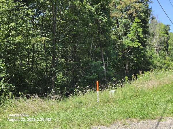0.82 Acres of Land for Sale in Coloma, Michigan