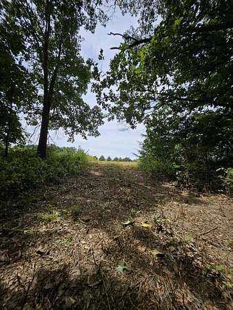 7 Acres of Residential Land for Sale in Marshfield, Missouri