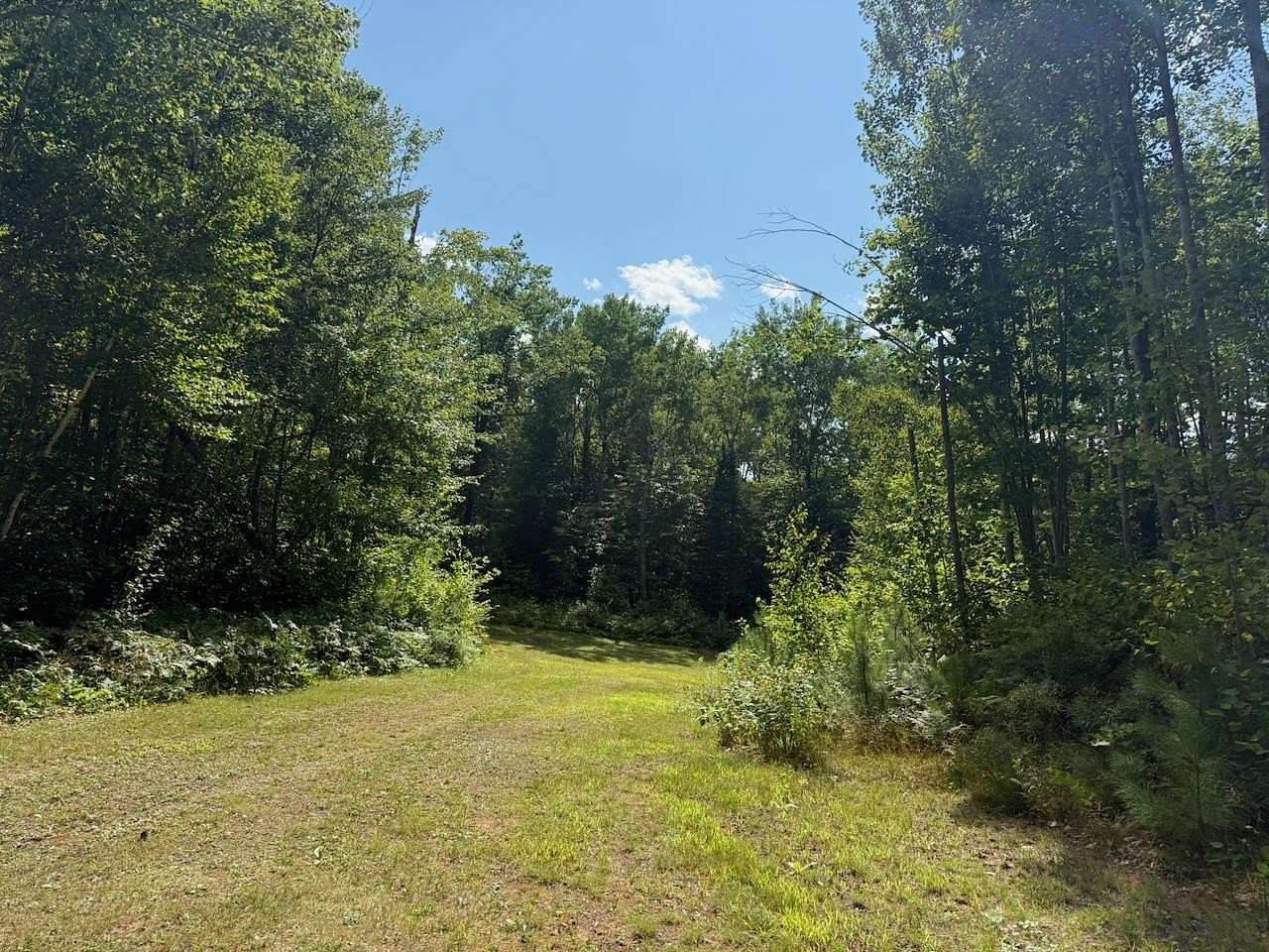 12.8 Acres of Recreational & Residential Land for Sale in Holyoke, Minnesota