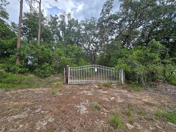 9.69 Acres of Land for Sale in Ocklawaha, Florida