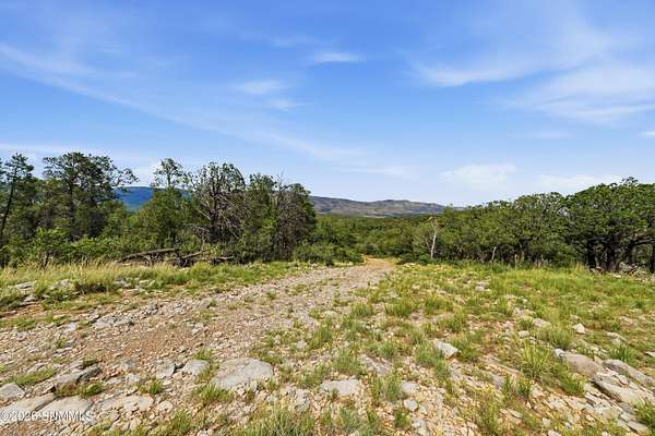 2.2 Acres of Residential Land for Sale in Timberon, New Mexico
