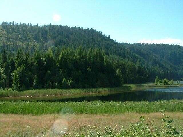 40 Acres of Recreational Land for Sale in Northport, Washington