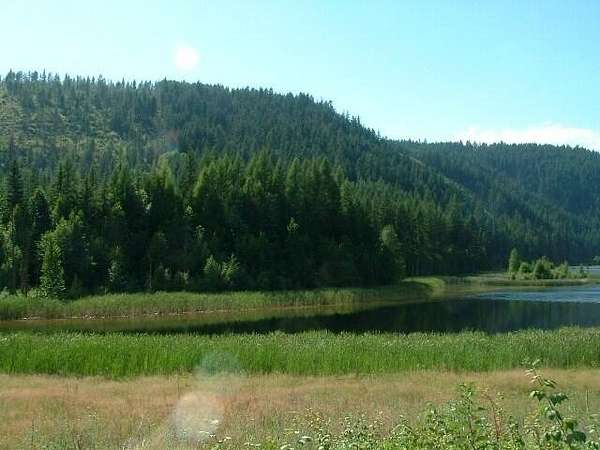 40 Acres of Recreational Land for Sale in Northport, Washington