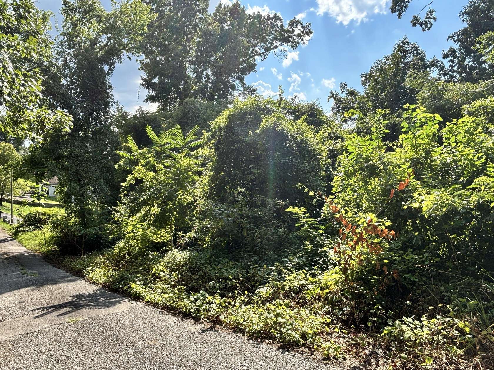0.67 Acres of Residential Land for Sale in Chattanooga, Tennessee