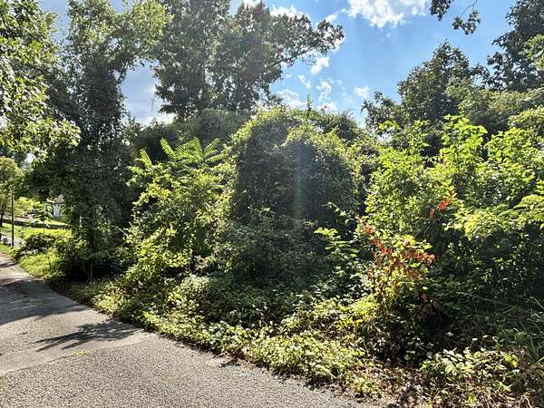 0.67 Acres of Residential Land for Sale in Chattanooga, Tennessee