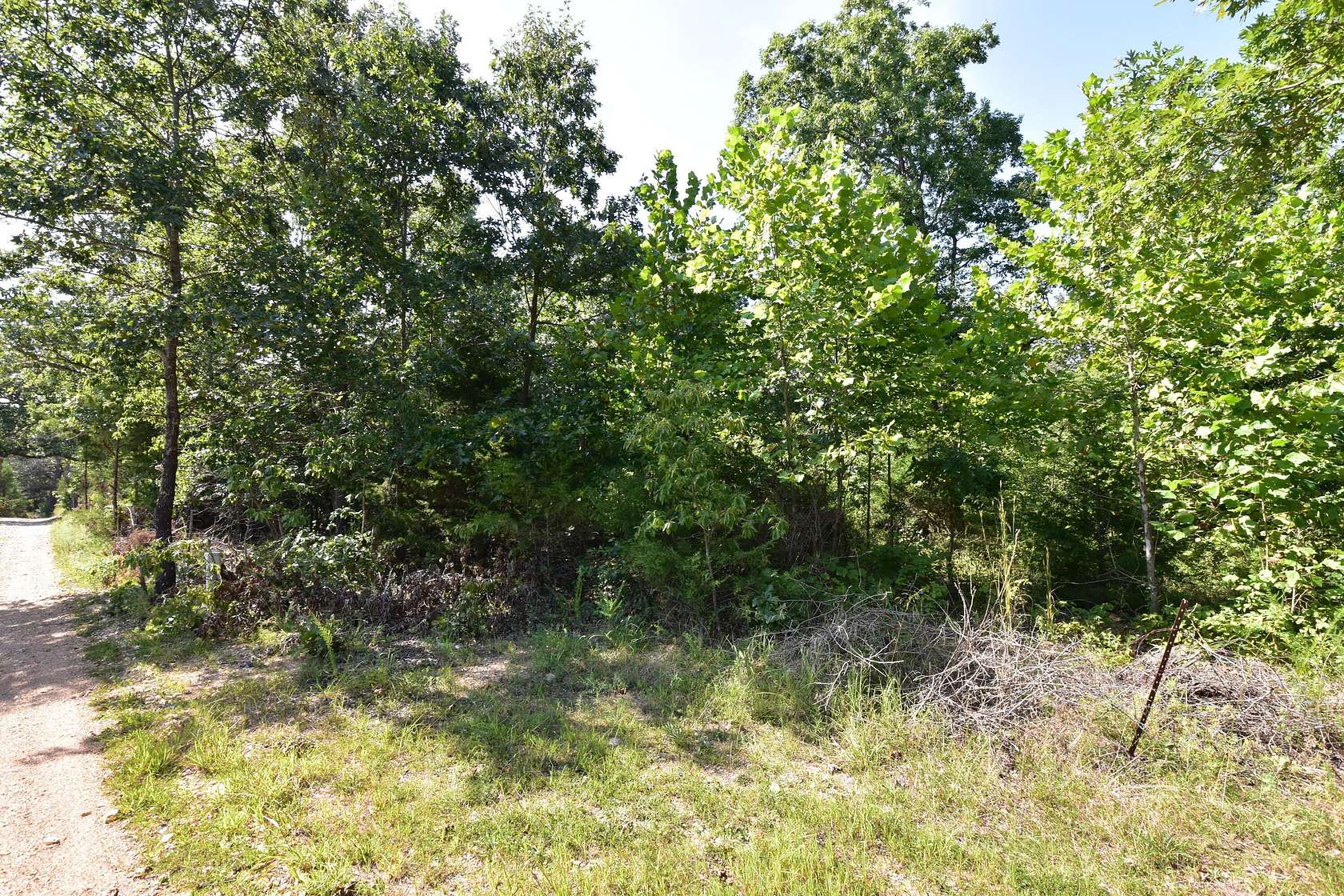 20 Acres of Recreational & Residential Land for Sale in Fordland, Missouri