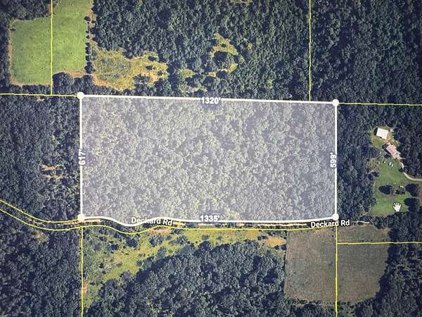 20 Acres of Recreational & Residential Land for Sale in Fordland, Missouri