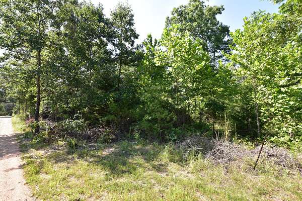 20 Acres of Recreational & Residential Land for Sale in Fordland, Missouri