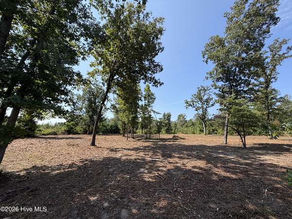 17.1 Acres of Recreational & Residential Land for Sale in Blythe, Georgia