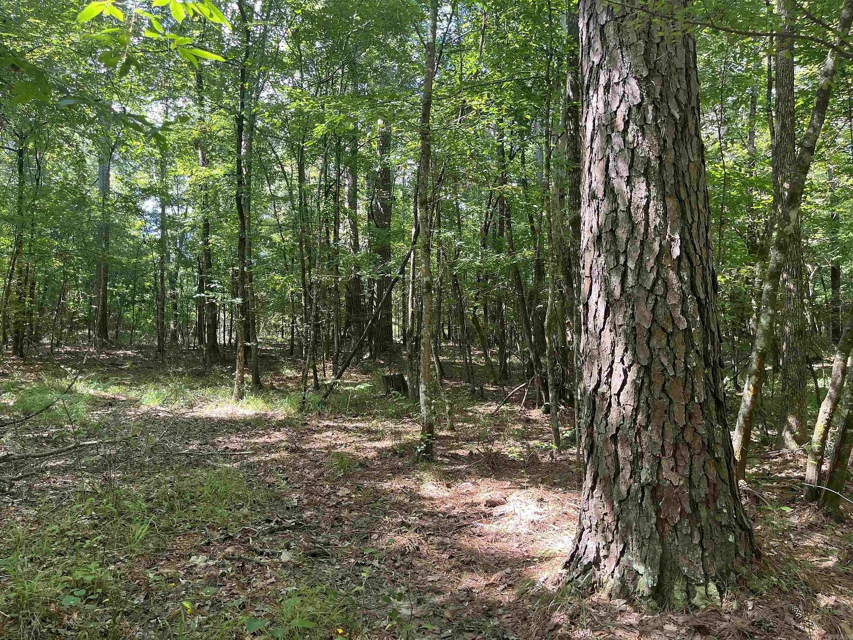 20 Acres of Recreational Land for Auction in Fountain Hill, Arkansas