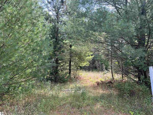 1 Acre of Residential Land for Sale in Greenbush, Michigan