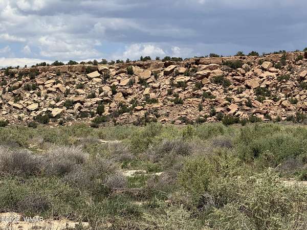 37.5 Acres of Recreational & Residential Land for Sale in St. Johns, Arizona