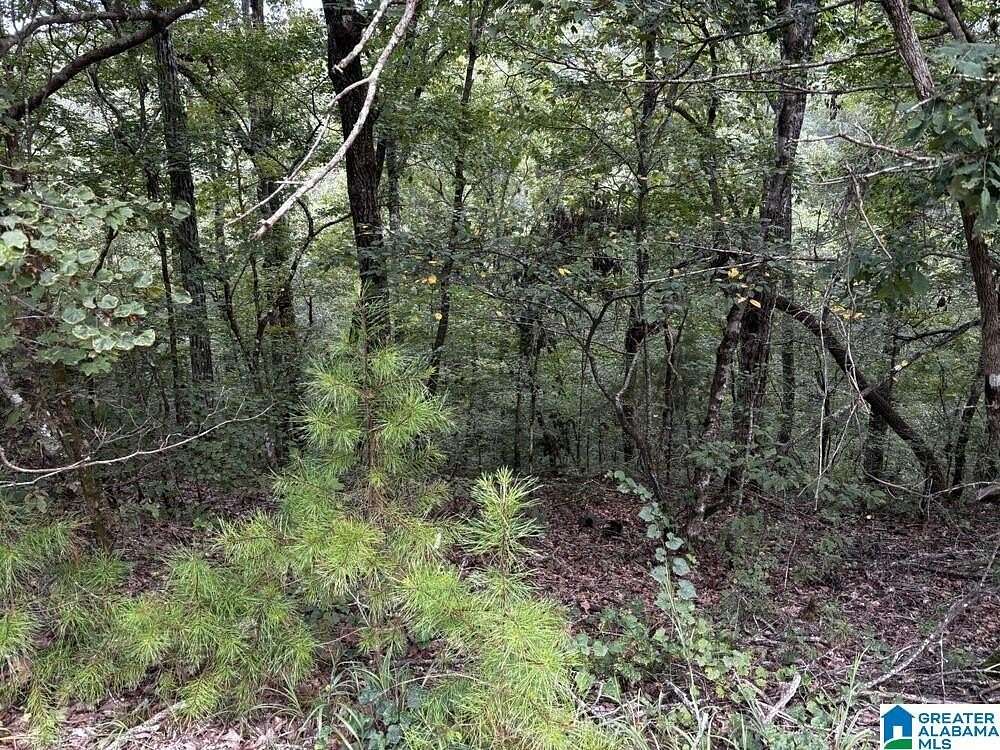 63 Acres of Recreational Land for Sale in Brookwood, Alabama