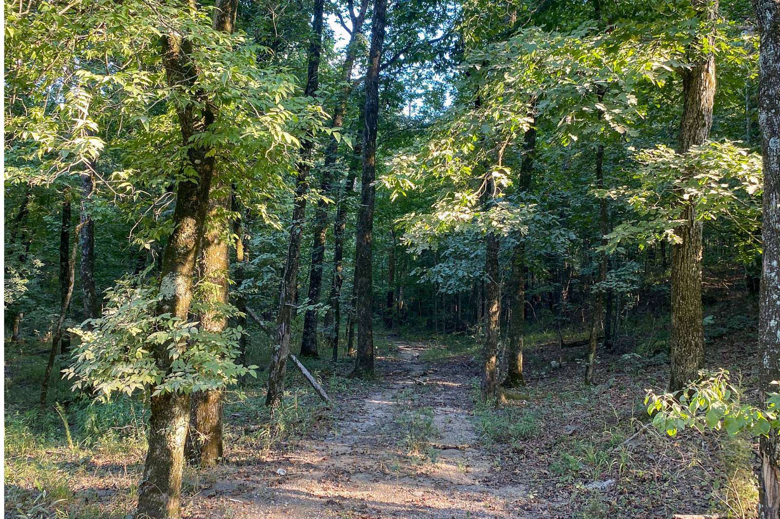 1.3 Acres of Residential Land for Sale in Hochatown, Oklahoma