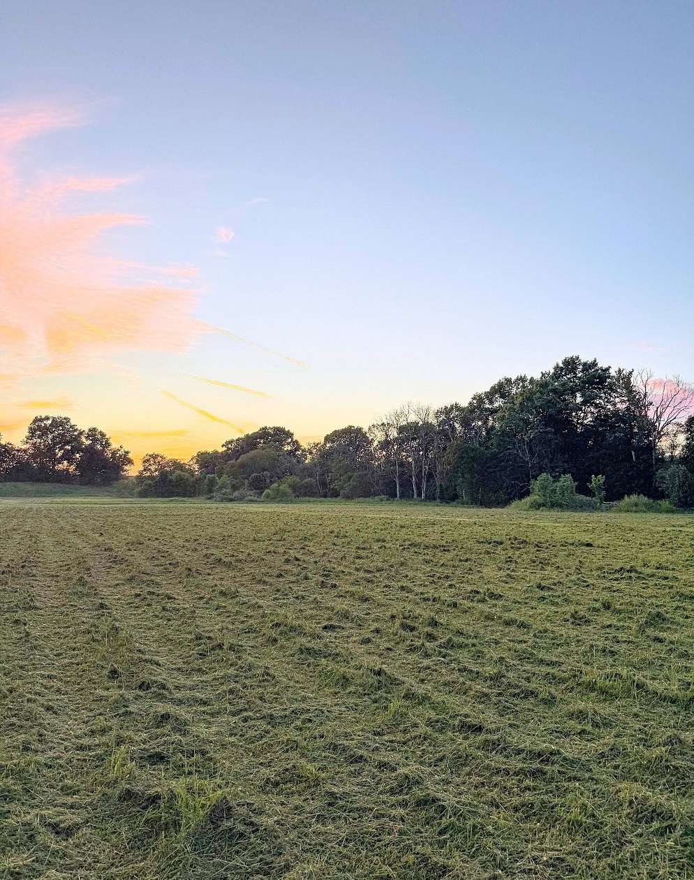 14 Acres of Land for Sale in Lebanon, Tennessee