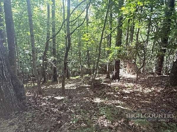 2.42 Acres of Land for Sale in Fleetwood, North Carolina