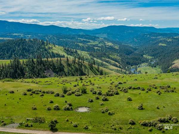 19.2 Acres of Recreational Land for Sale in Clearwater, Idaho