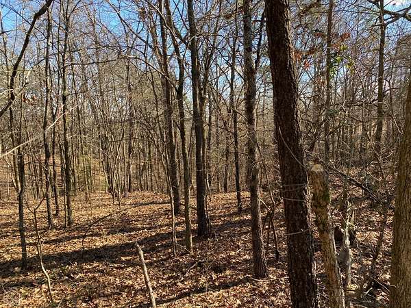 9 Acres of Residential Land for Sale in Harrisburg, Arkansas