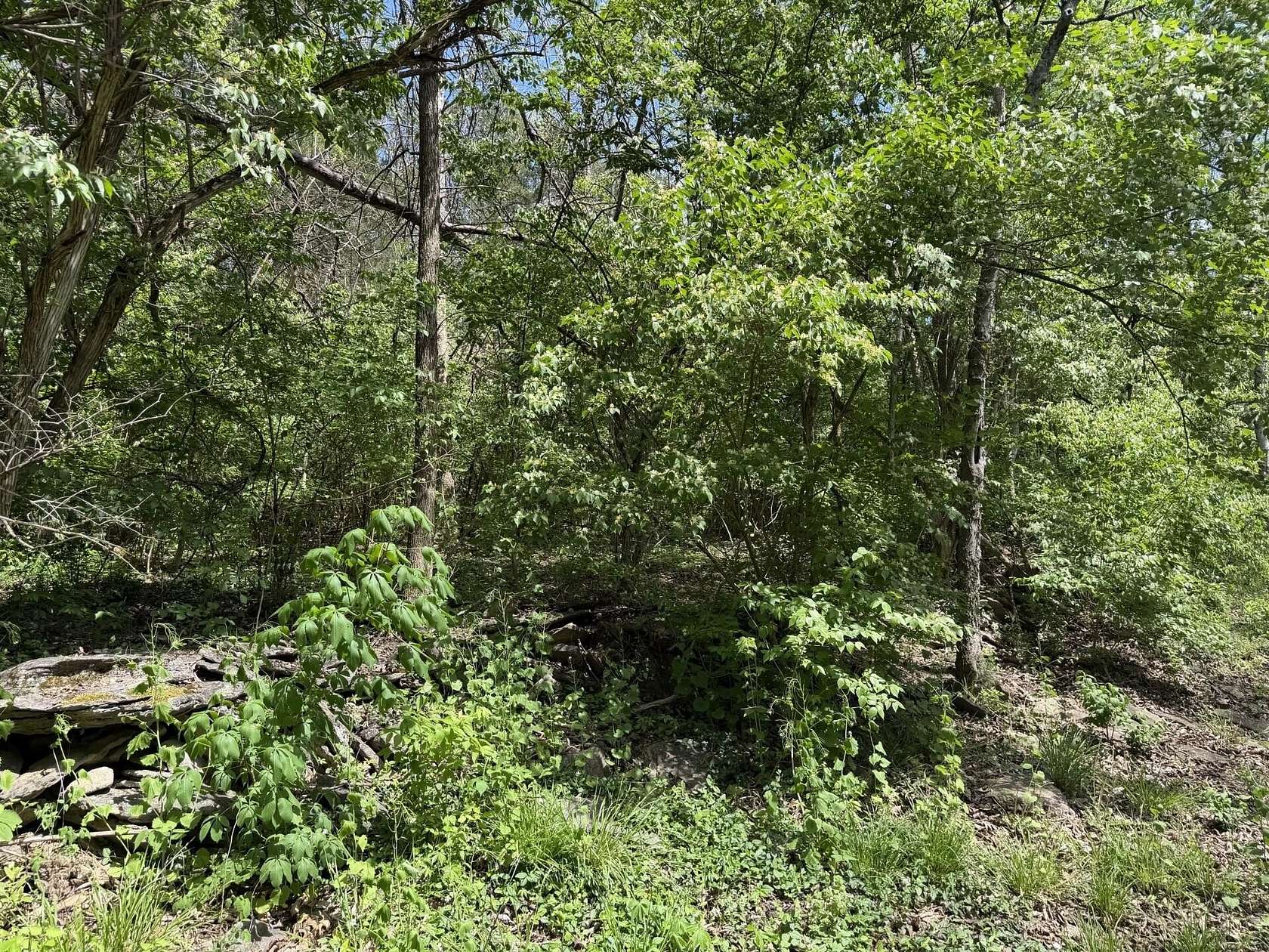 13.2 Acres of Recreational & Residential Land for Sale in Nicholasville, Kentucky