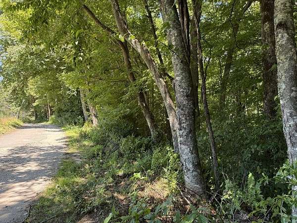15 Acres of Land for Sale in Scaly Mountain, North Carolina