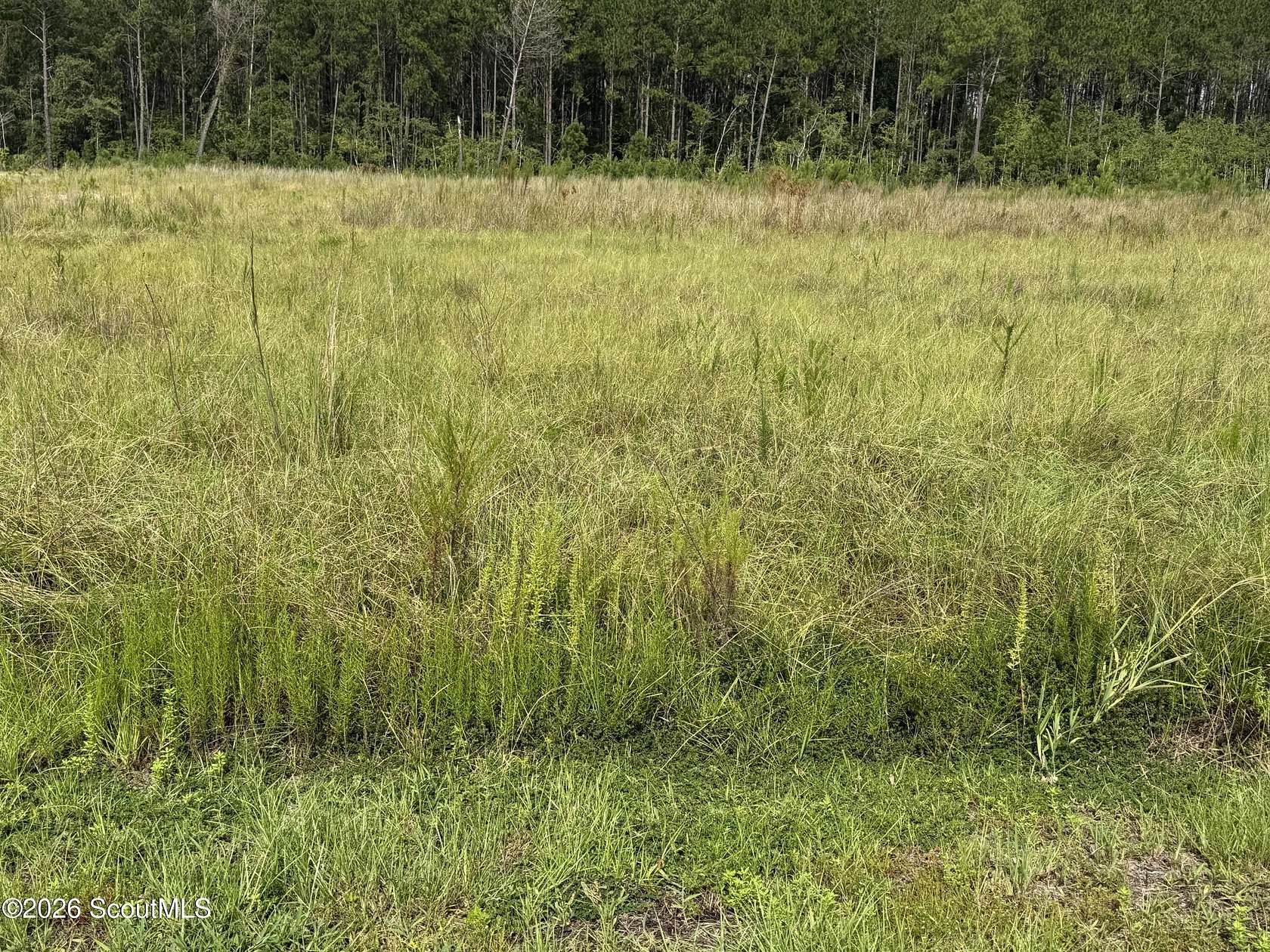 1.9 Acres of Residential Land for Sale in Waycross, Georgia