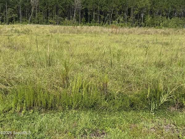 1.9 Acres of Residential Land for Sale in Waycross, Georgia