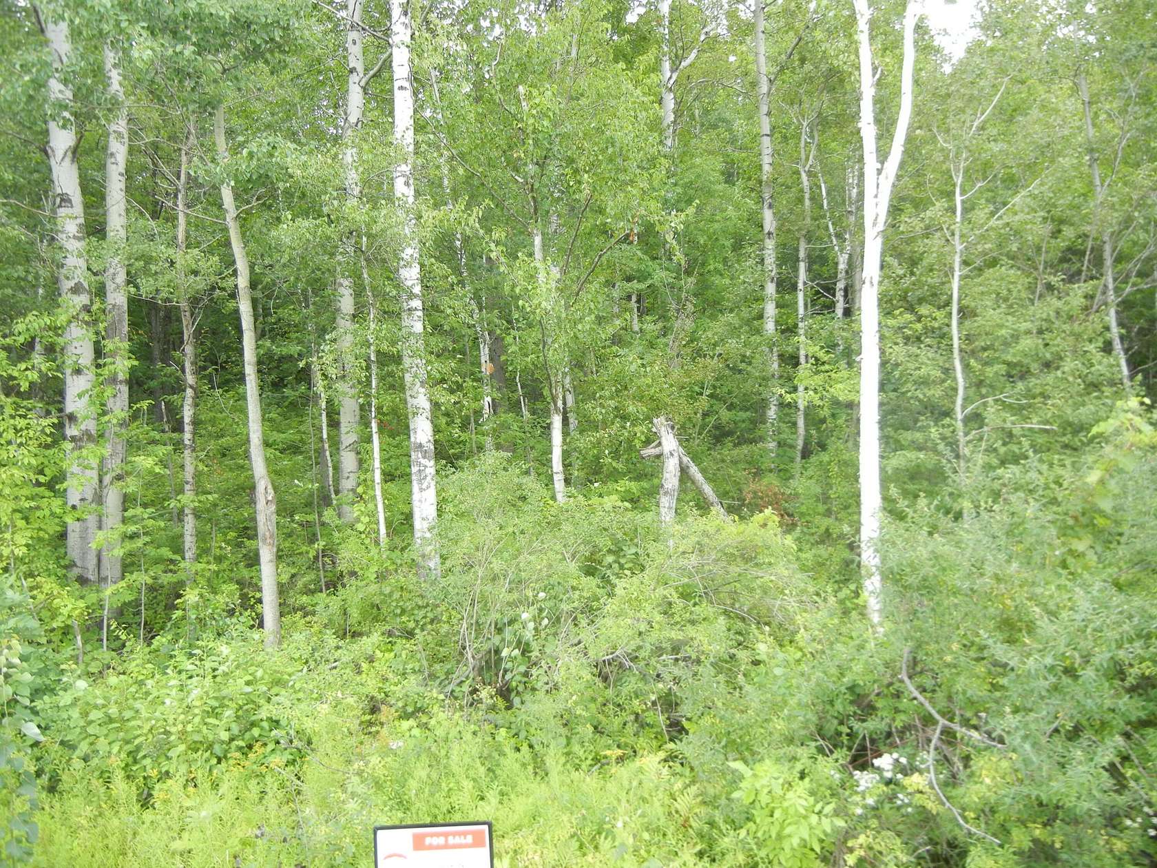 0.42 Acres of Land for Sale in Ellenburg, New York