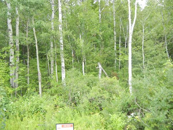 0.42 Acres of Land for Sale in Ellenburg, New York