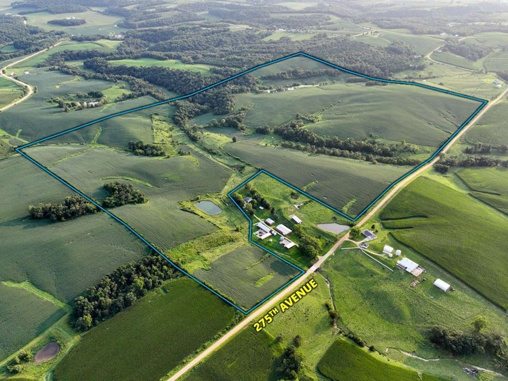 230 Acres of Land for Sale in Zwingle, Iowa