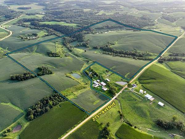 230 Acres of Land for Sale in Zwingle, Iowa