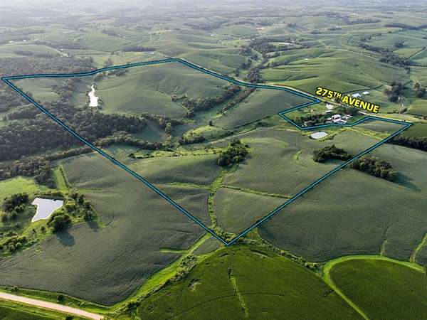 230 Acres of Land for Sale in Zwingle, Iowa
