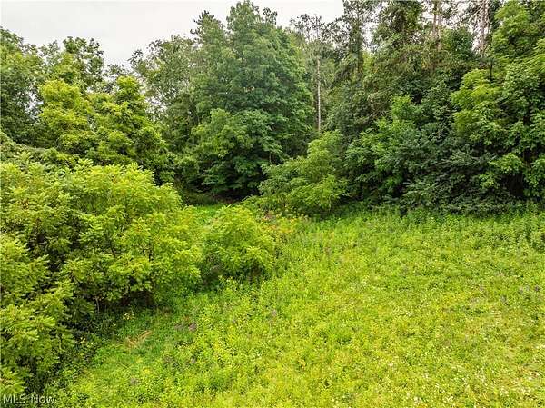 5.4 Acres of Land for Auction in Lucas, Ohio