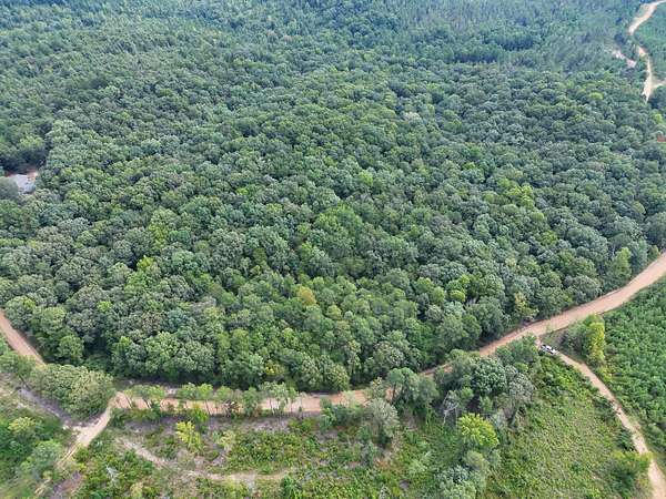 26 Acres of Recreational & Residential Land for Sale in Fayette, Alabama