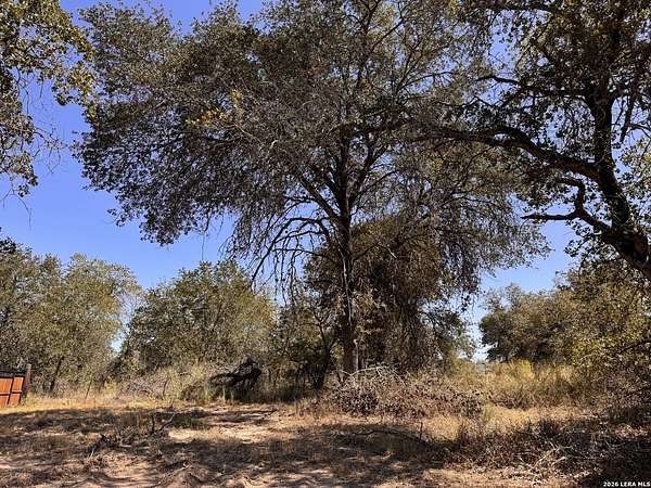 0.3 Acres of Residential Land for Sale in La Vernia, Texas