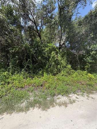 0.18 Acres of Residential Land for Sale in New Port Richey, Florida